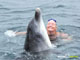 Ute Margreff | dolphin universe